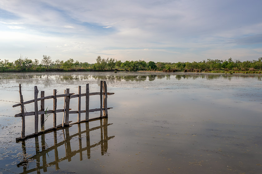 Narrow waterways alternate with expansive ponds