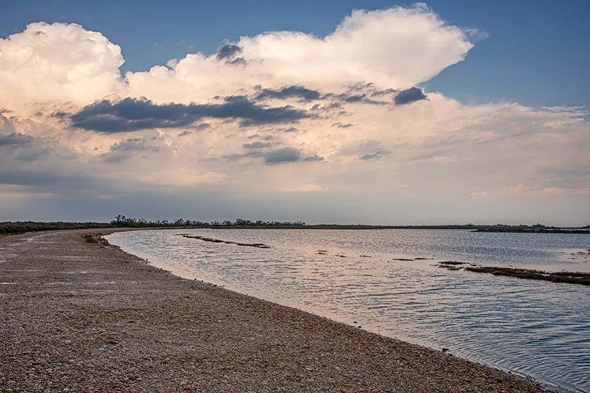 Evening light on the beach