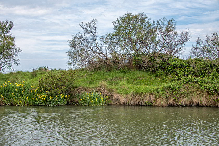 Along the 'Canal d'Arles à Bouc'