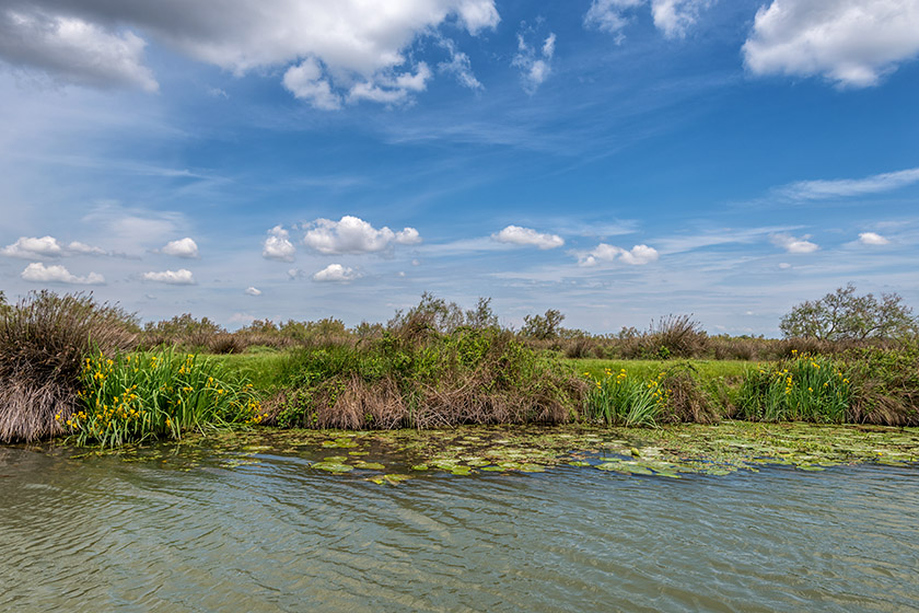 ...through beautiful Camargue landscapes.