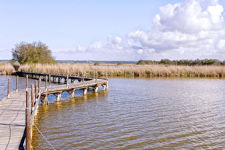 Walkway to the bird observatory