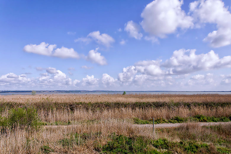 Looking towards the 'Etang du Scamandre'