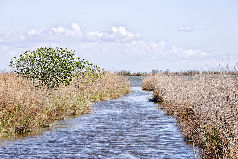 Side canal