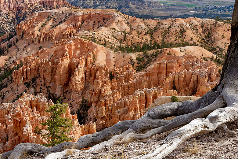 By Bryce Point