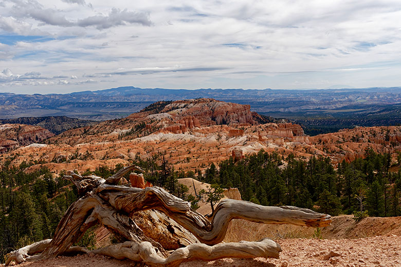 Near Sunrise Point