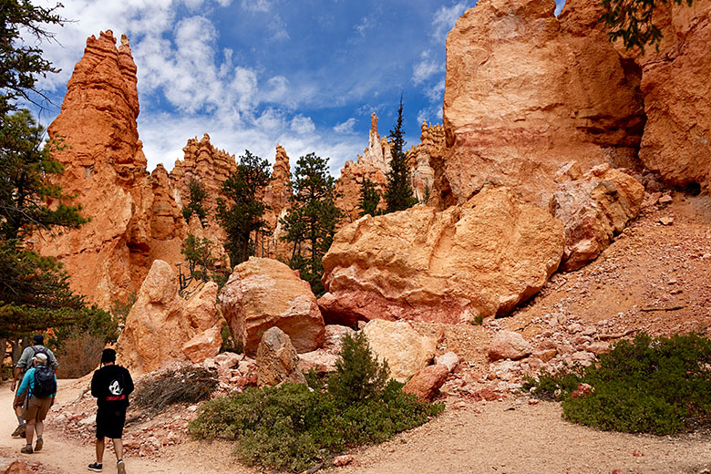 Climbing back up on Navajo Loop Trail