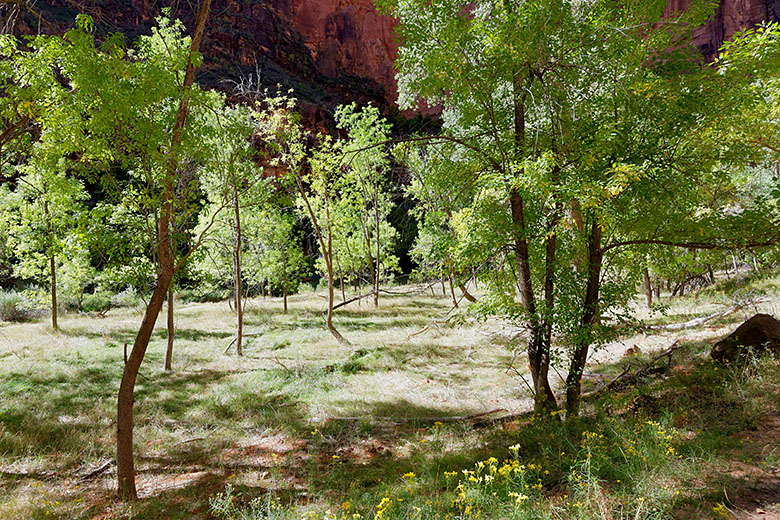 View from Riverside Walk