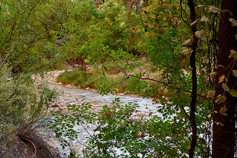 The Virgin River