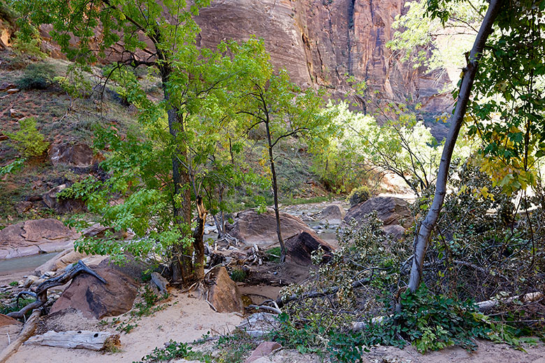 By the Virgin River