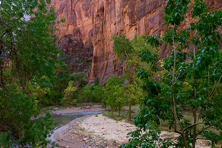 By the Virgin River