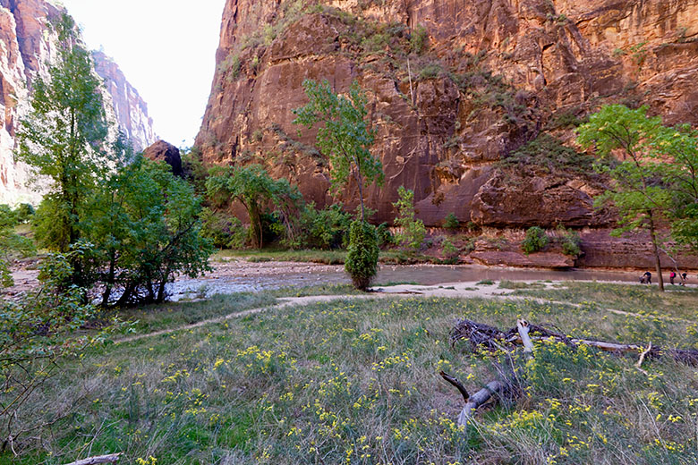 View from Riverside Walk