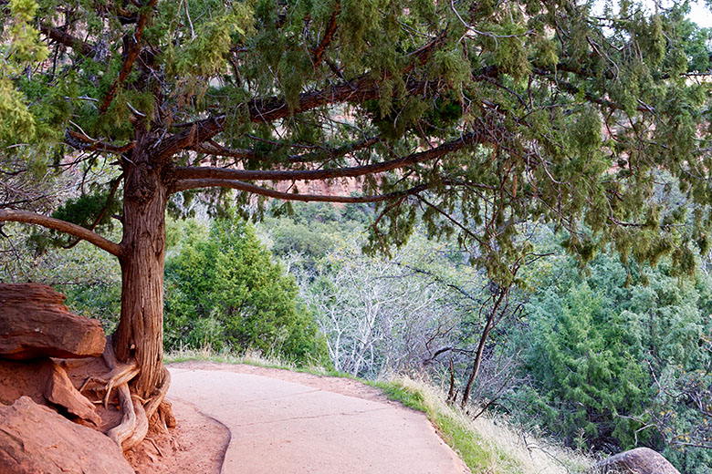 On Emerald Pools Trail