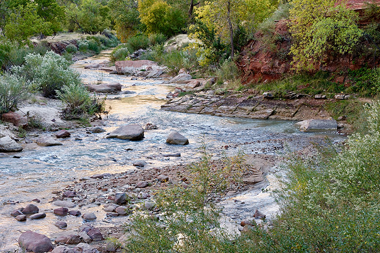 The Virgin River