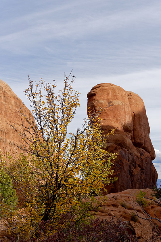 On Devil's Garden Trail