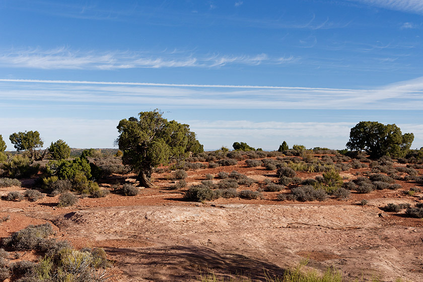 By Grand View Point