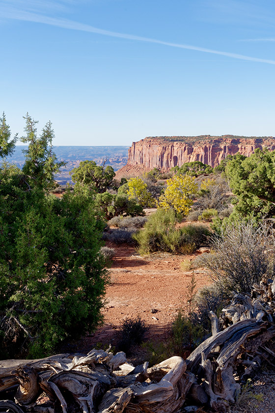 On Grand View Point Trail