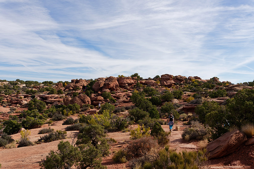 Hiking back