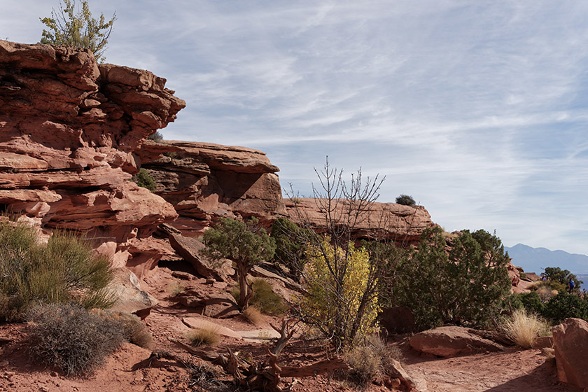 On Grand View Point Trail