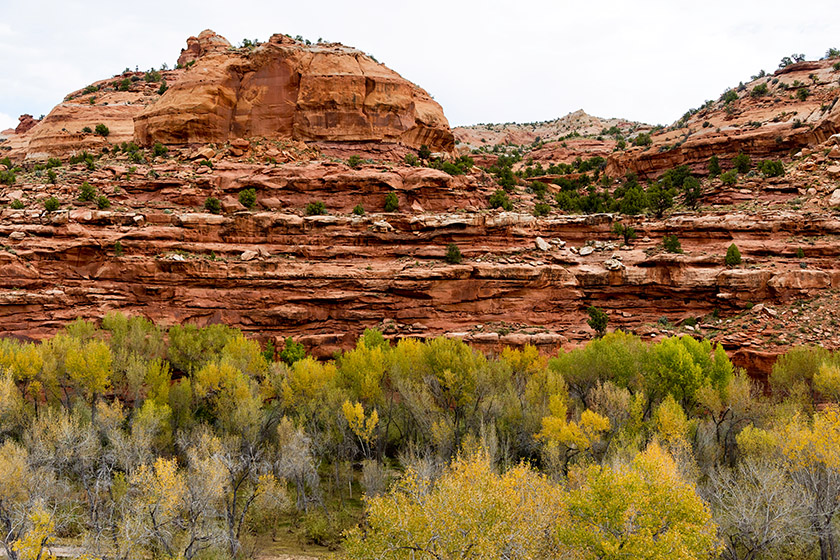 Near Escalante, Utah