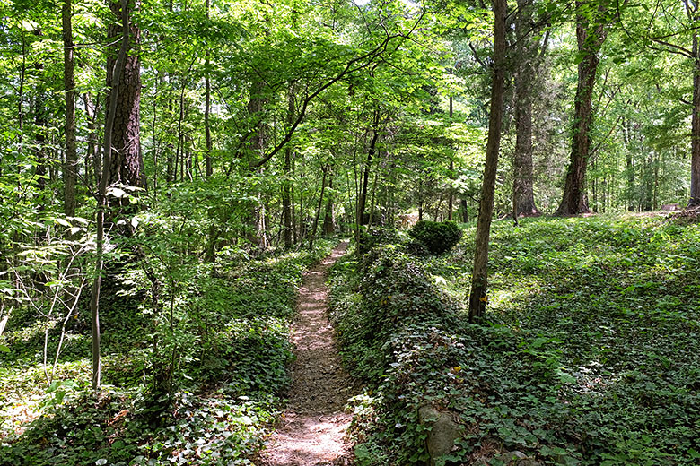 Walking trail to Battle Seat