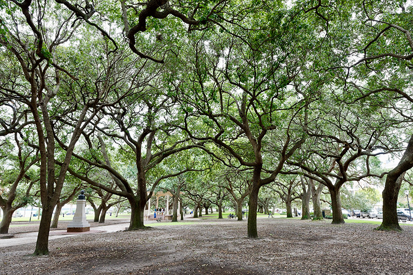 White Point Garden