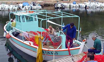 In the harbor of Porto