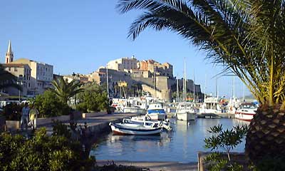 Calvi