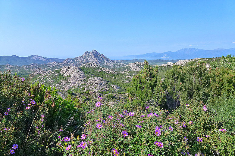 On the drive back to L'Ile Rousse