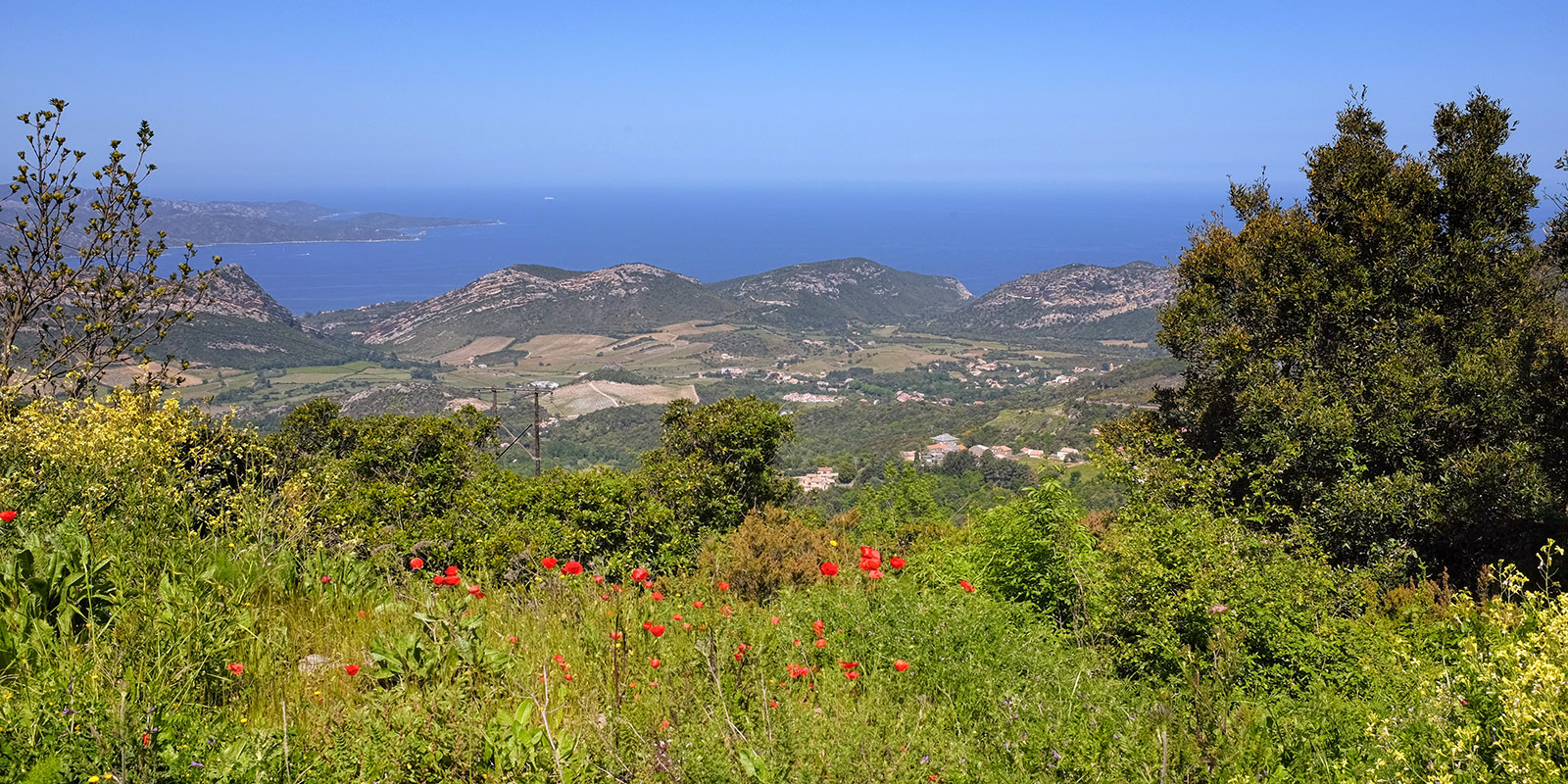 On the road between Saint-Florent and Bastia