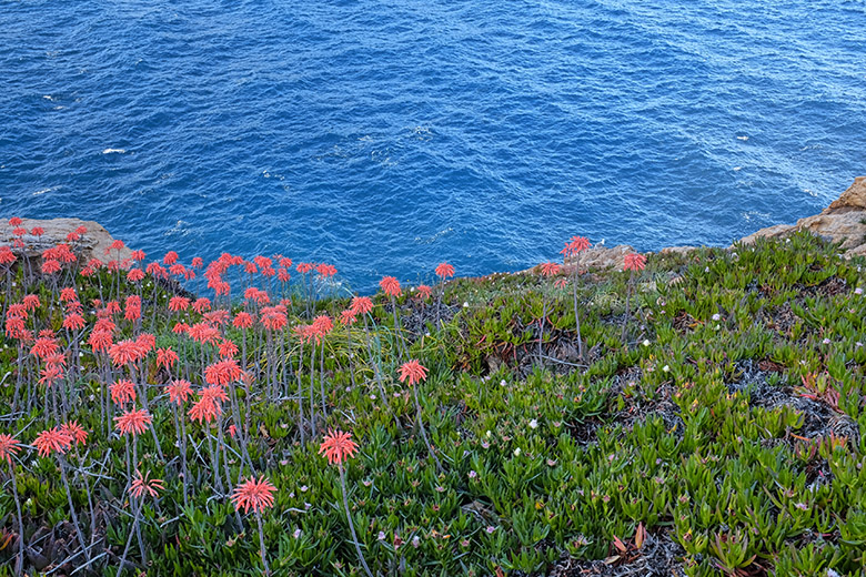 Red–Green–Blue