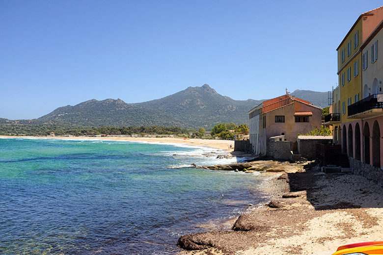 Looking north towards the beach