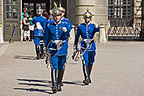 Royal castle guards