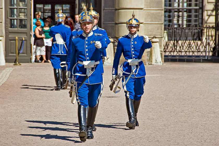 Royal castle guards