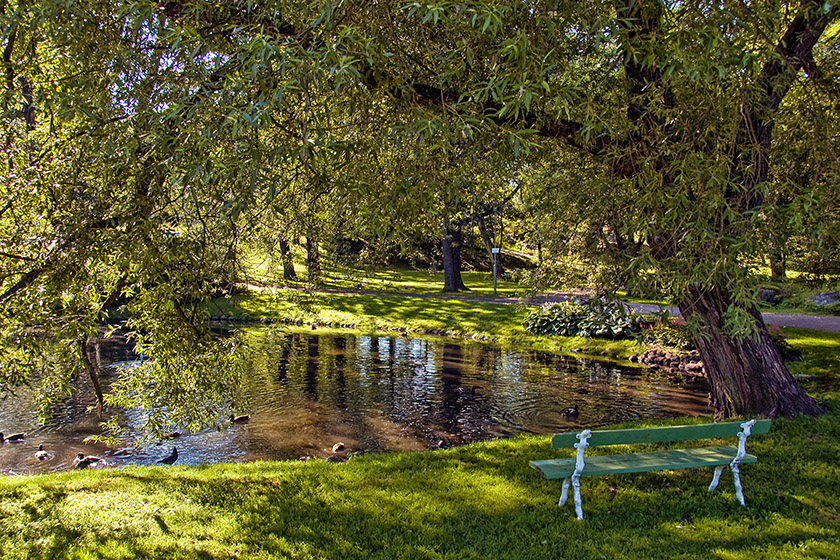 The lovely Sibelius Park