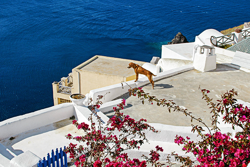 Oia rooftop scene