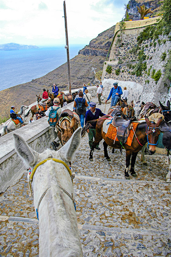 We rode donkeys from Fira...