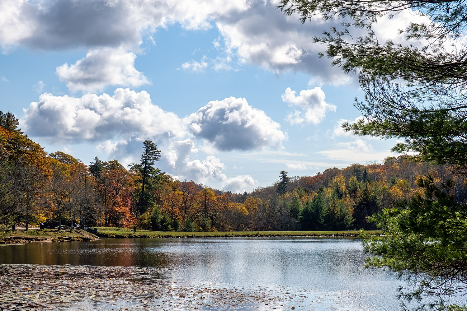 Bass Lake is rather small, not much more than a pond