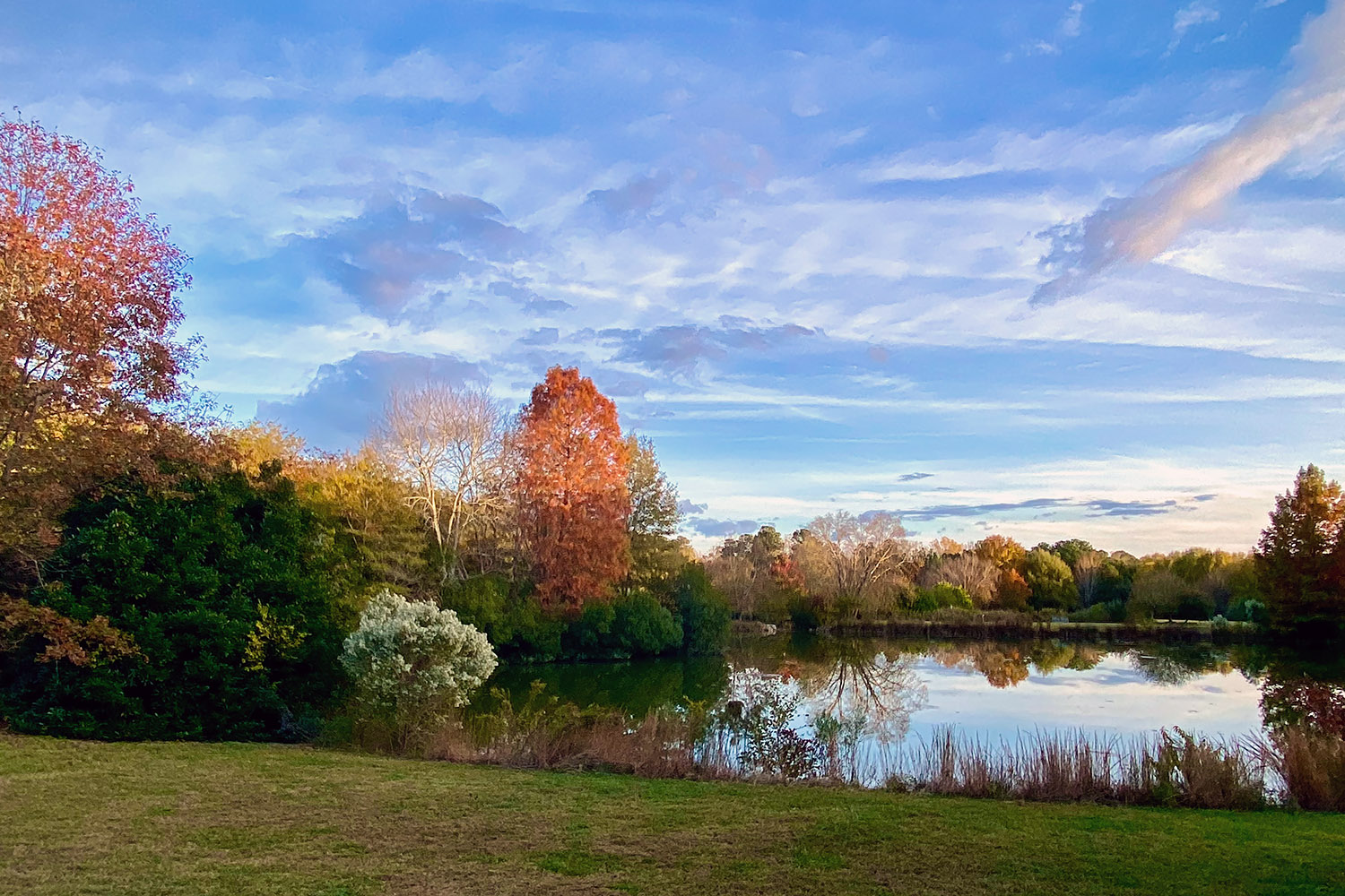 Evening light in Fearrington Village