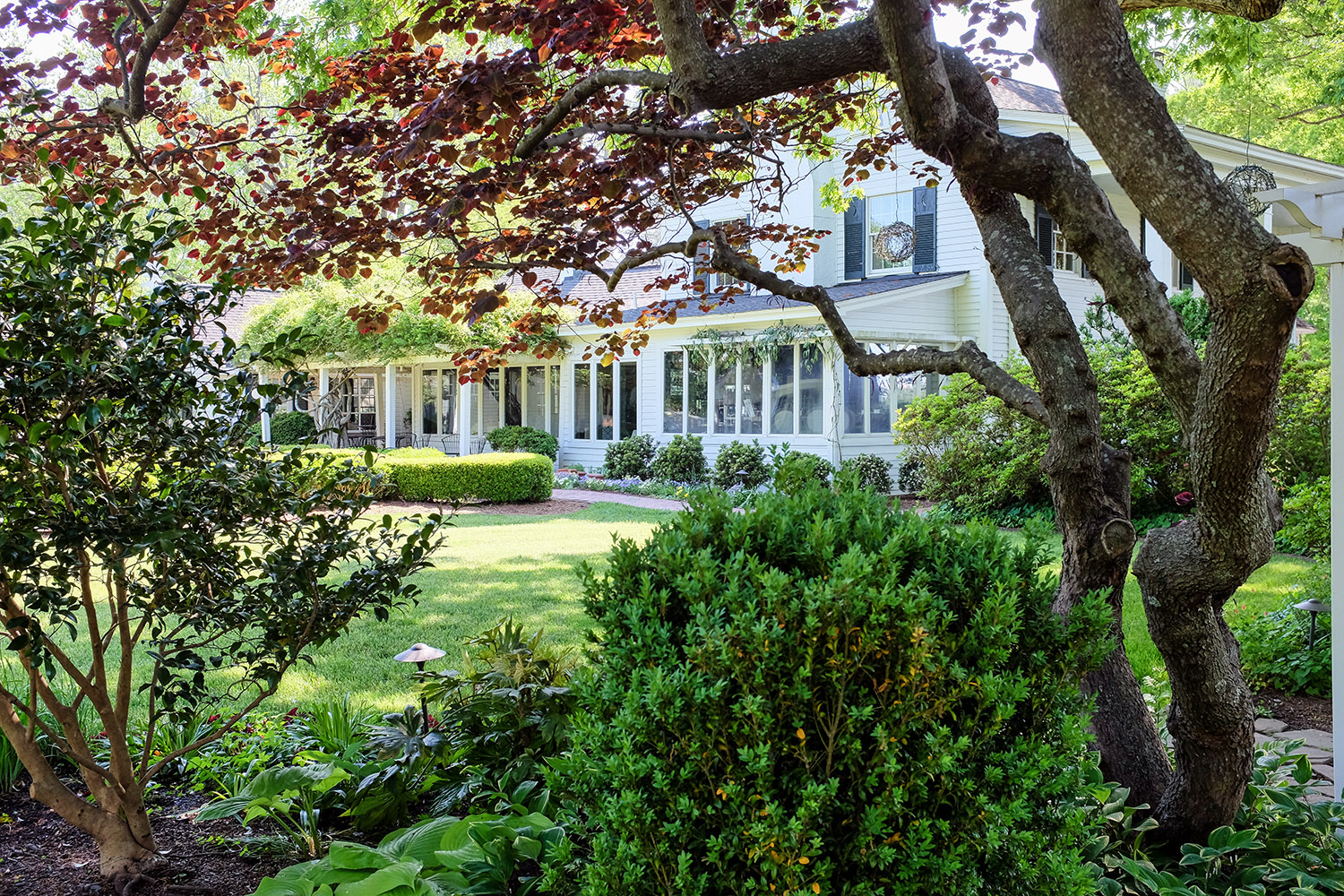 Peeking through the trees at the Fearrington House Restaurant