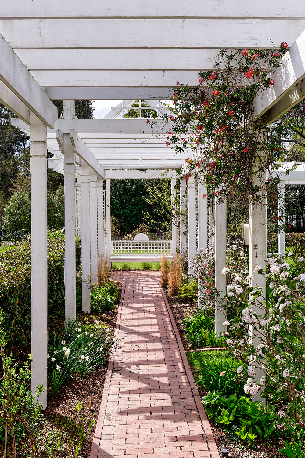 On the walkway