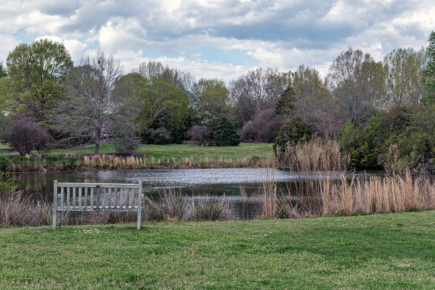 One of the two ponds in Camden Park