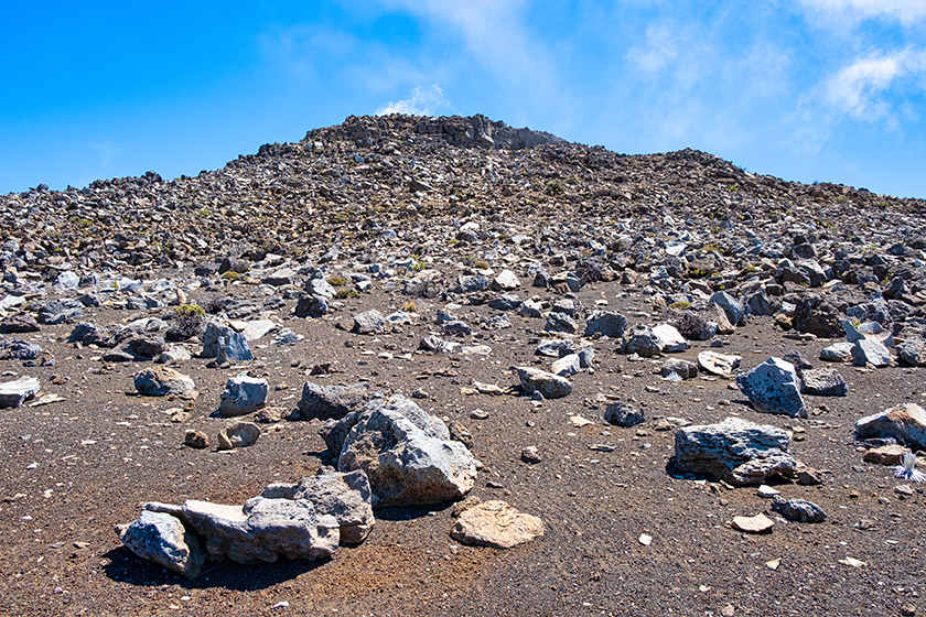 A gigantic rock garden...