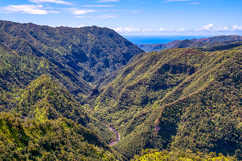 Rough terrain amid lush vegetation