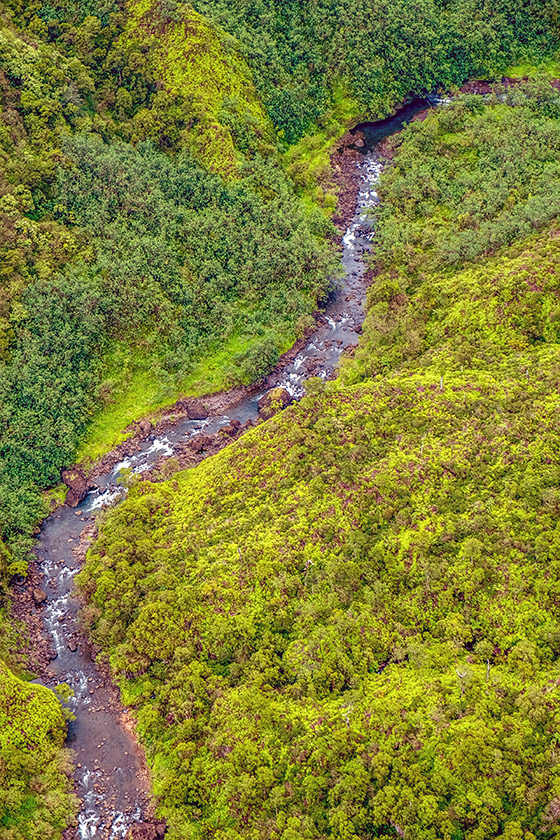 There is a great deal of water on Kauai