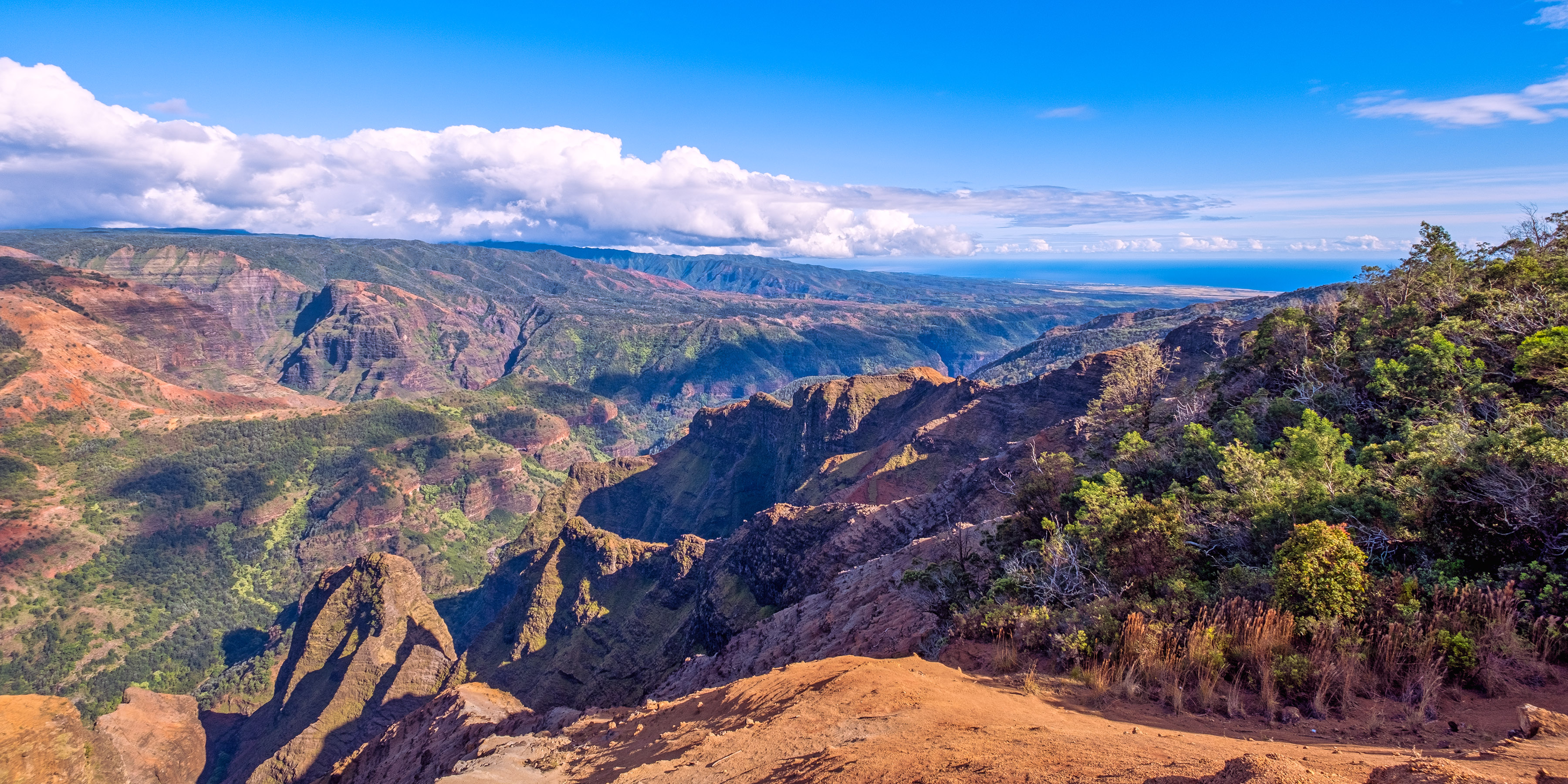 View on Waimea Canyon State Park from a lookout off Kōke'e Road