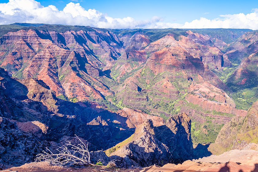 View on Waimea Canyon State Park from a lookout off Kōke'e Road