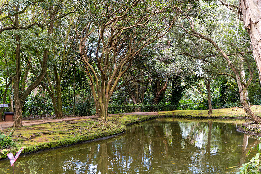 The lovely pond on the side of the temple