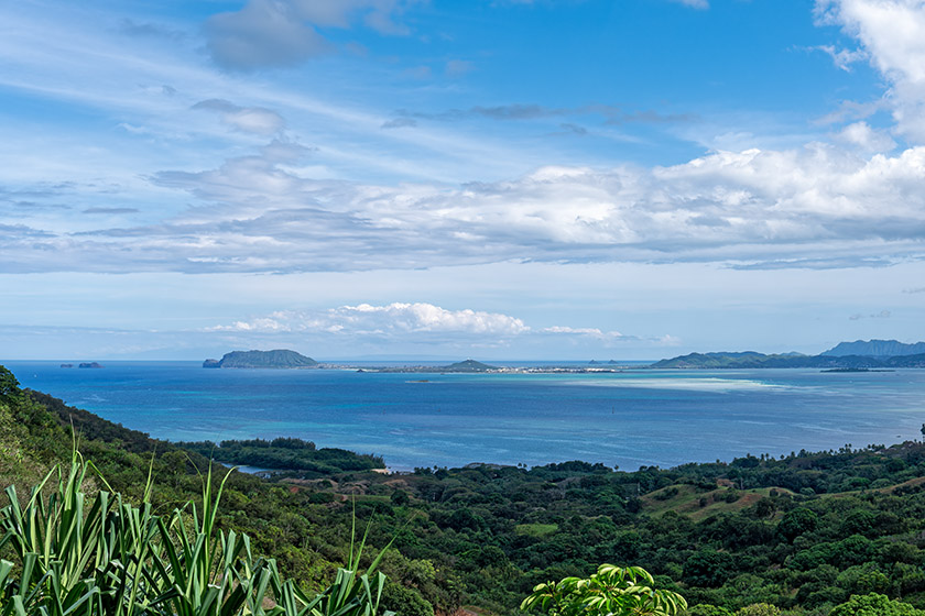 The view from the highest point reached during our Jungle Tour