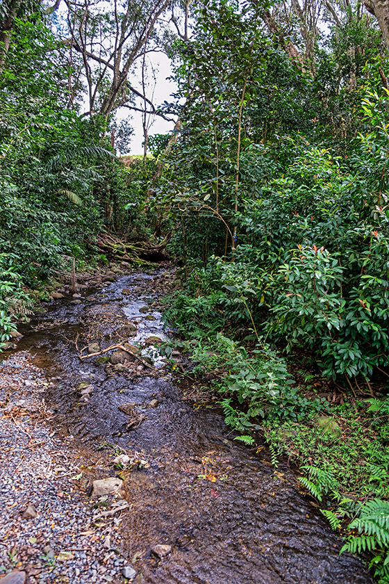 River bed