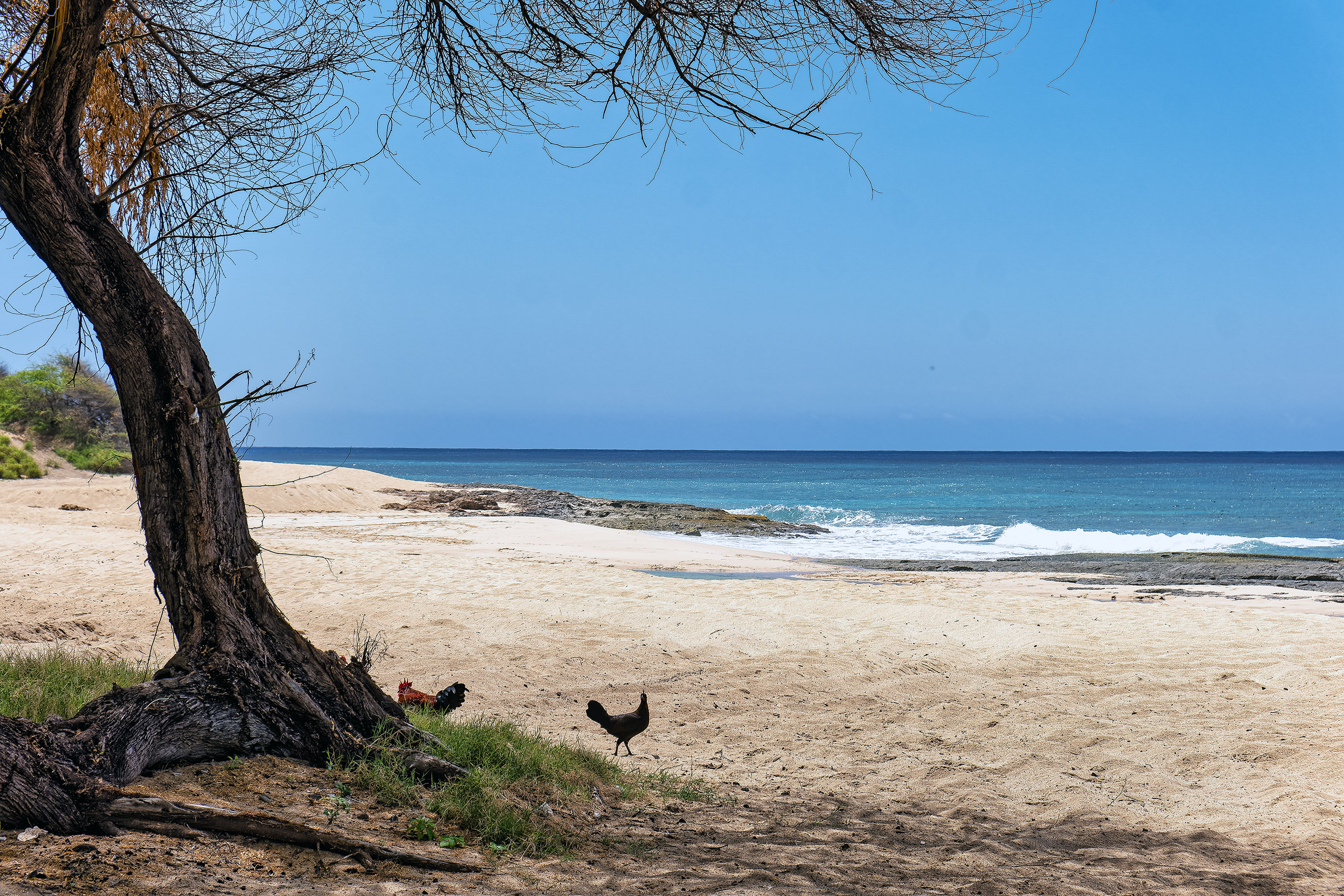 Beach scene off Farington Highway